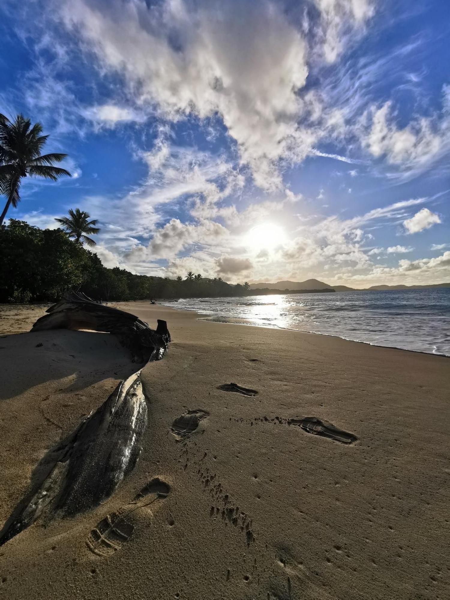 Ti'Bakoua A Sainte-Luce Plage Et Piscine Luaran gambar