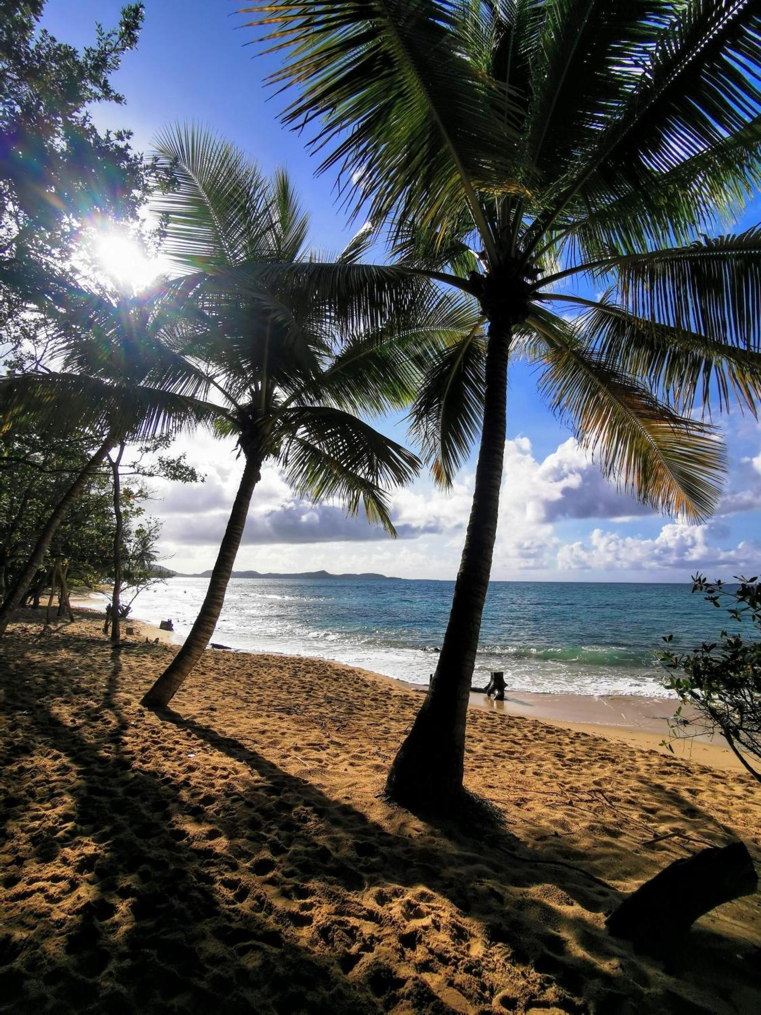 Ti'Bakoua A Sainte-Luce Plage Et Piscine Luaran gambar